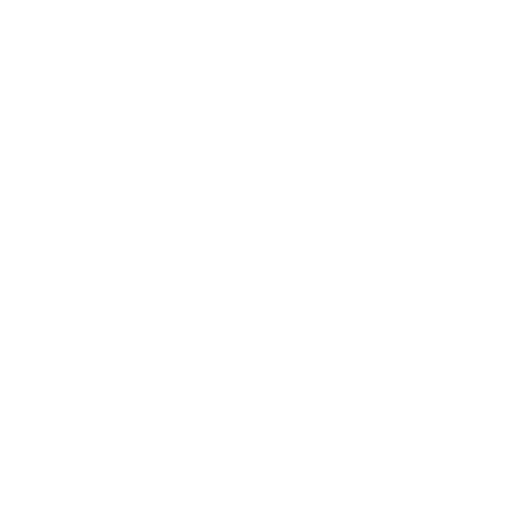 Hanson Holiday Lighting