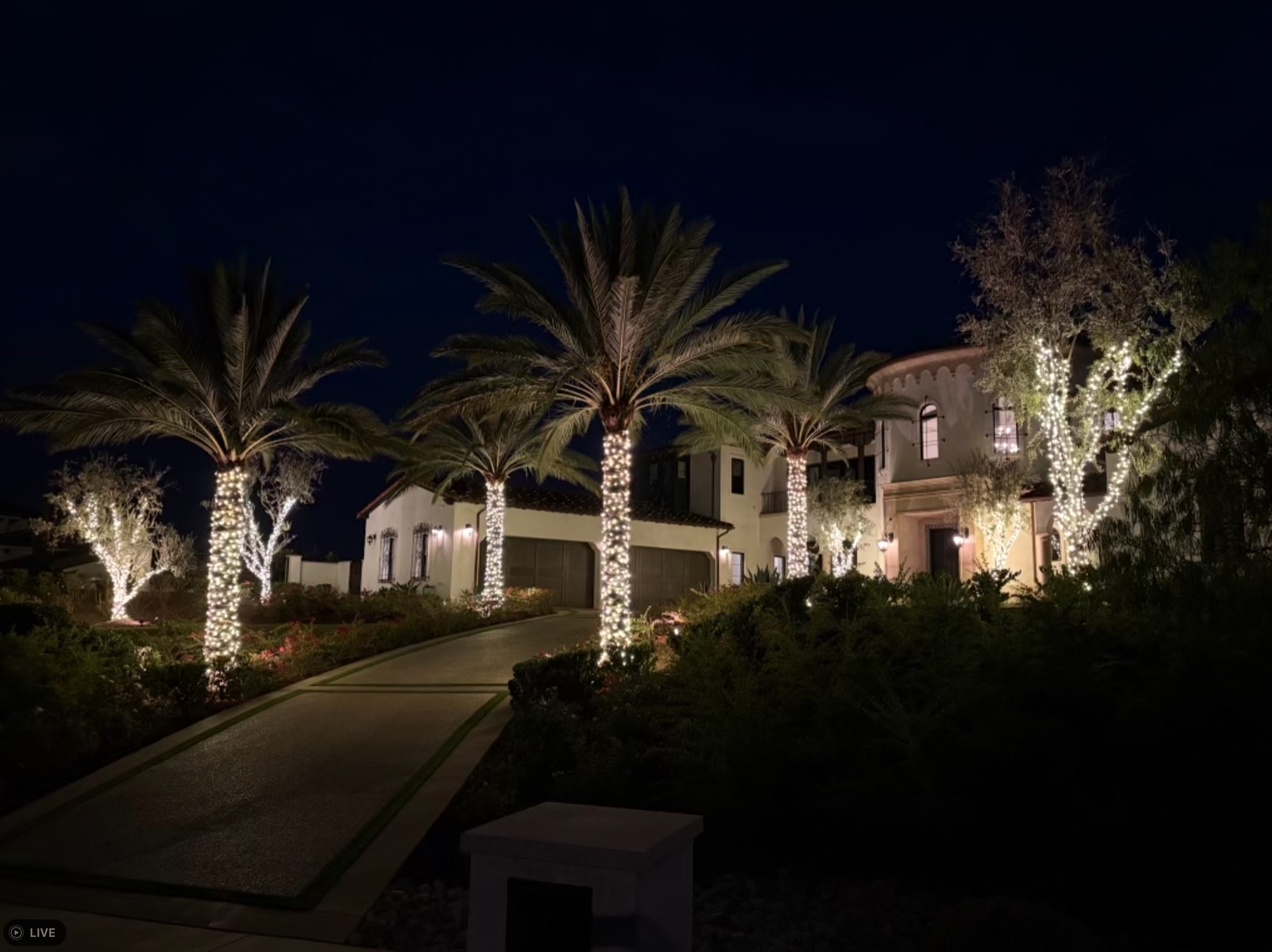 Palm-lined driveway with each trunk wrapped warm white