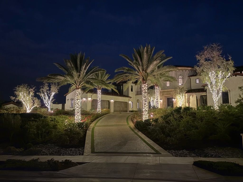 Warm white palm and tree trunk wraps flanking a ribbon driveway at night